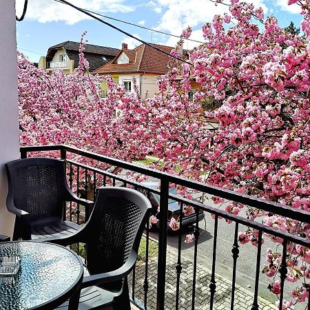 Marcipan Apartment Heviz Bagian luar foto
